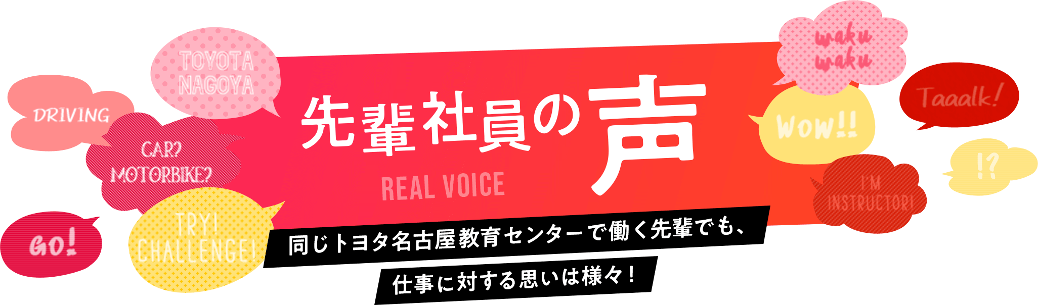 先輩社員の声